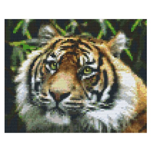 Tiger 34460